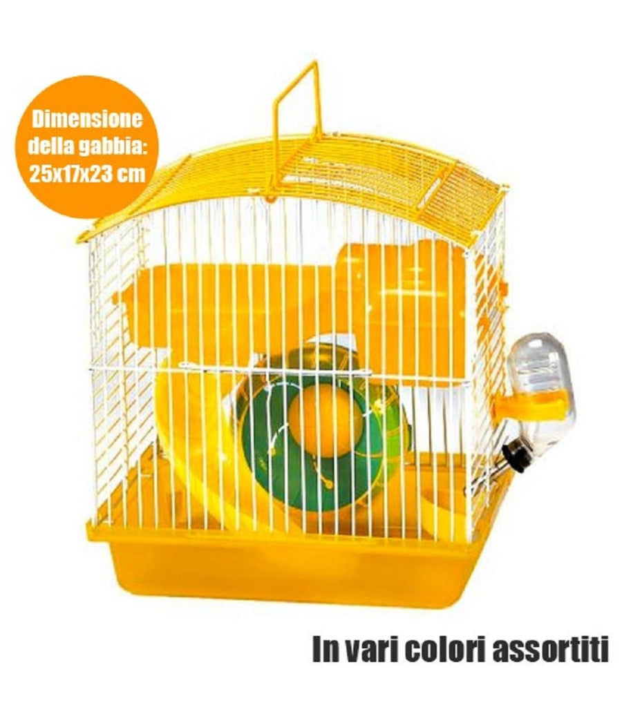 Gabbia Forma Arco Completa Di Accessori Per Criceti In Metallo Vari Colori         