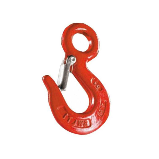 Gancio Portata Carbonio con Sicura Kg 1600