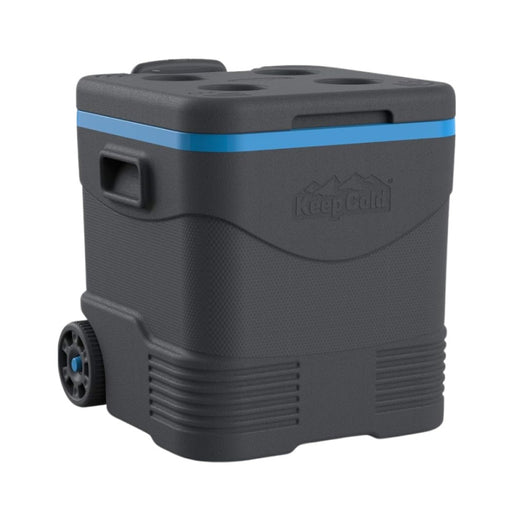 Ghiacciaia su Ruote Trolley Icebox Grigio e Blu 45L