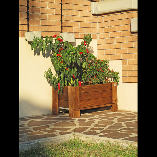 Giardiniera Rialzata o A terra Varie misure color castagno fsc - Terra 44x40