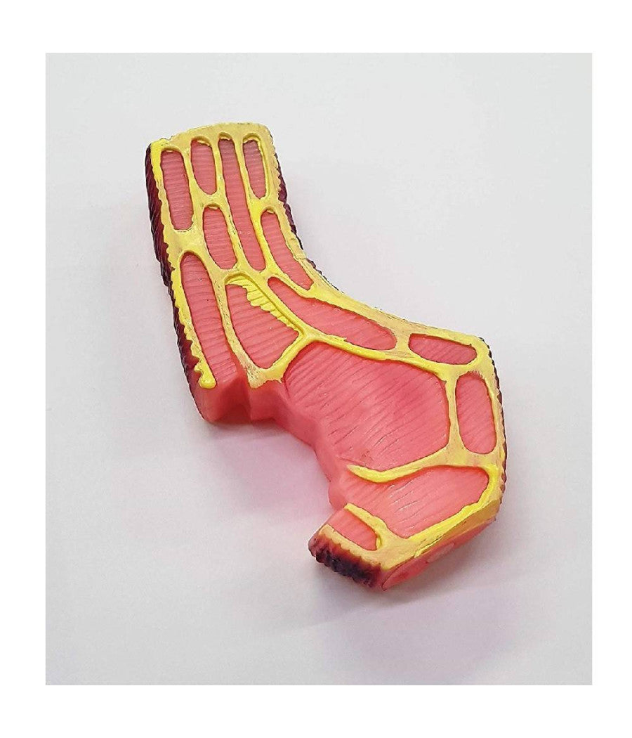 Gioco Bistecca Rosa Suono Stridulo In Plastica Cani Cane Masticare Denti Animali         