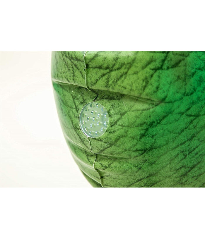 Gioco Spruzza Acqua A Forma Di Dinosauro 9x75x122cm Bambini 3 Anni Giardino 52294         