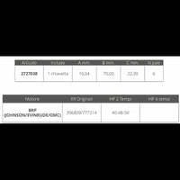 GIRANTE JOHNSON/EV. 2T 40-48-50 HP