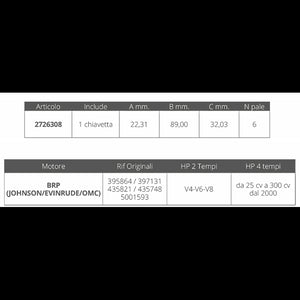 GIRANTE JOHNSON/EV. 2T V4-V6