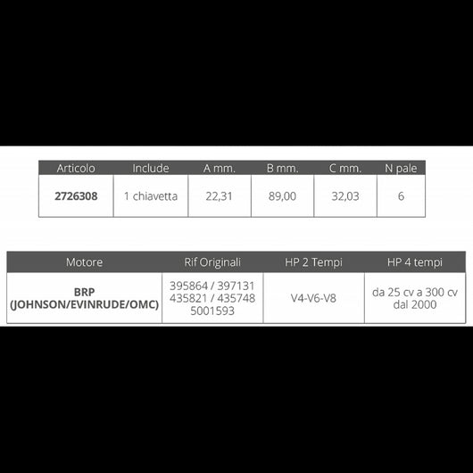 GIRANTE JOHNSON/EV. 2T V4-V6