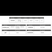 GIRANTE SHERWOOD 18000K