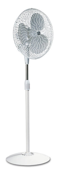 GORDON C40, Ventilatore da Terra, Vortice