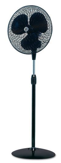 GORDON C40, Ventilatore da Terra, Vortice