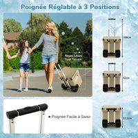 Borsa frigo 43 litri con ruote fuoristrada impermeabili e maniglia regolabile per caffè da campeggio su ruote per cucina bianco 20_0006885