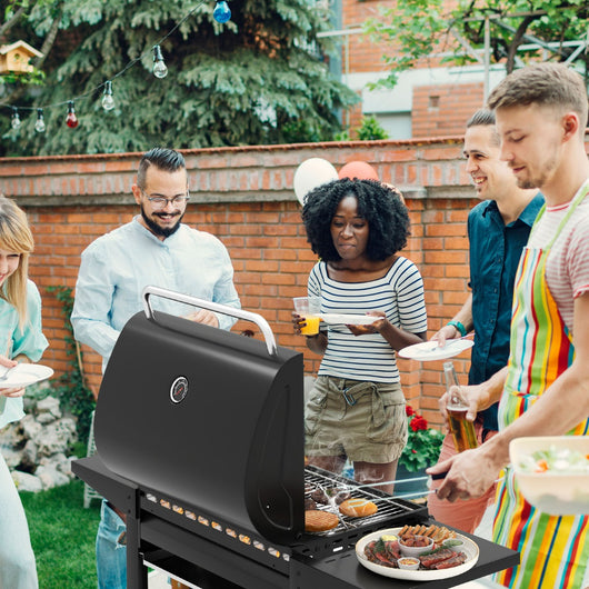 Griglia a gas propano con 3 bruciatori e tavolini laterali, Attrezzatura per barbecue da patio su ruote per campeggio Nero-Accessori per barbecue