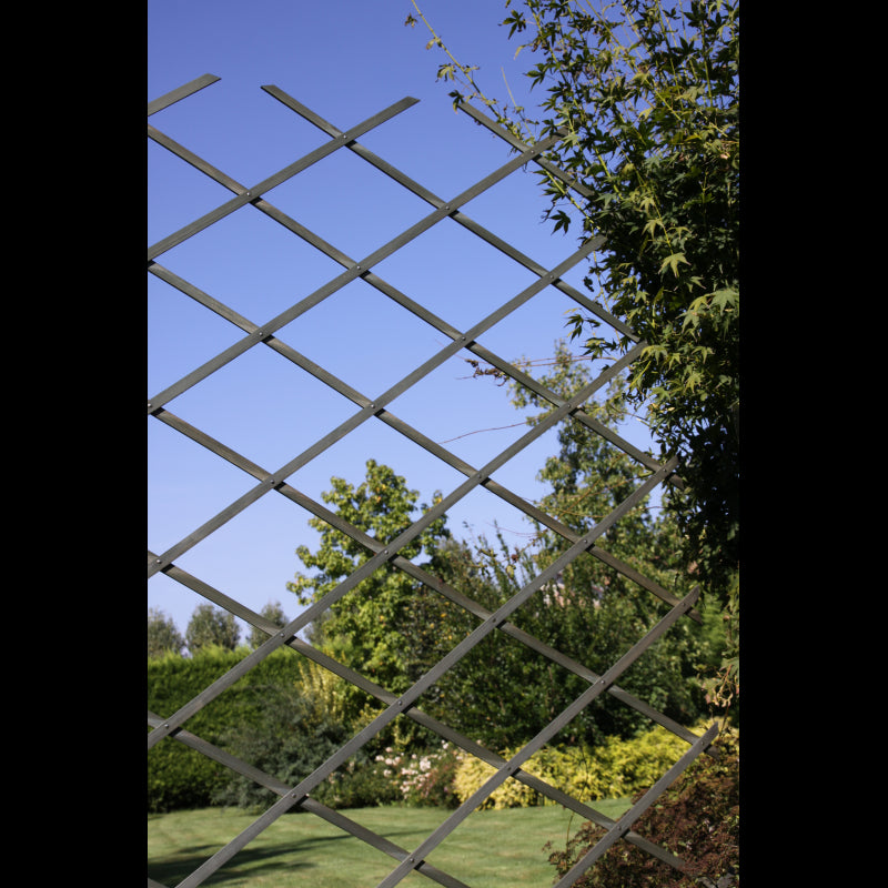 GRIGLIATO GELSOMINO O GLICINE ESTENDIBILE 180x45 cm - Gelsomino