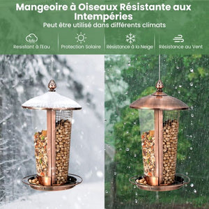 Mangiatoia per uccelli sospesa in metallo 2 in 1 Capacità di 1 litro Mangiatoia per uccelli selvatici da esterno con fori di drenaggio 20_0007543