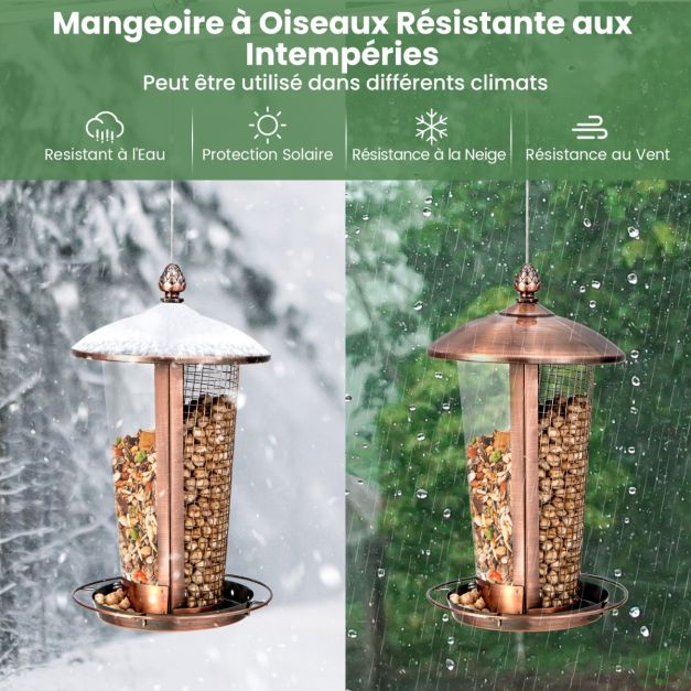 Mangiatoia per uccelli sospesa in metallo 2 in 1 Capacità di 1 litro Mangiatoia per uccelli selvatici da esterno con fori di drenaggio 20_0007543