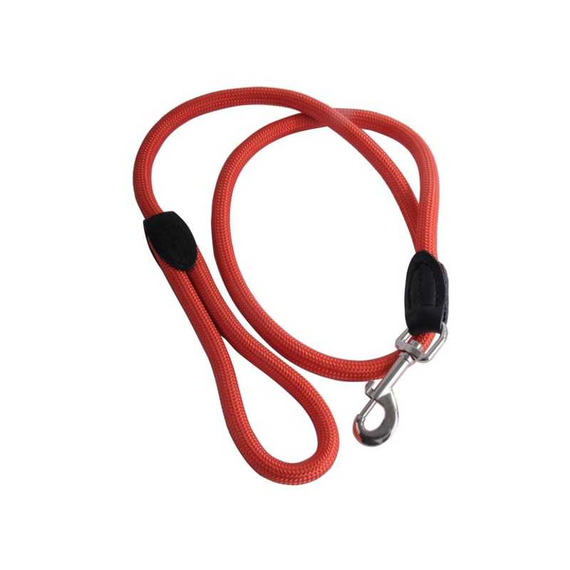 Guinzaglio Cani Nylon T mm 13 cm 110 Ilcampo 07640