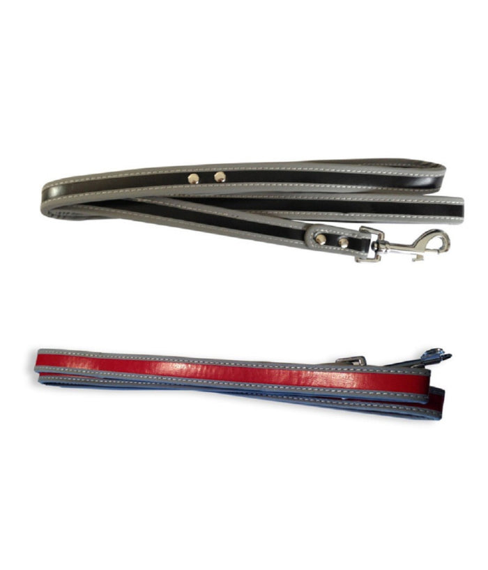 Guinzaglio Per Cane Lunghezza 120cm Riflettente Moschettone Acciaio Vari Colori         