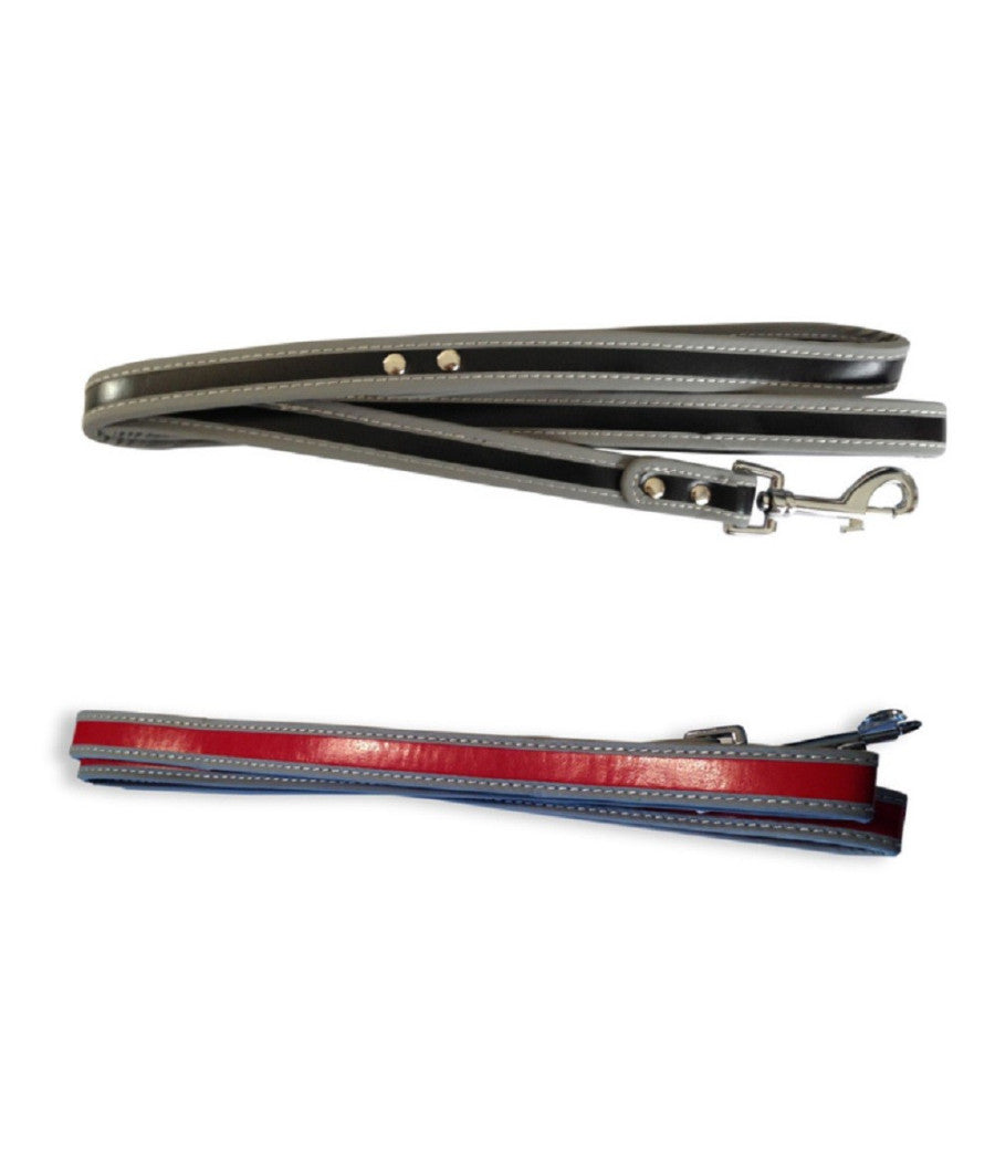 Guinzaglio Per Cane Lunghezza 120cm Riflettente Moschettone Acciaio Vari Colori         