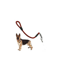 Guinzaglio Per Cani In Corda Nylon Resistente Con Moschettone In Metallo 80 Cm         