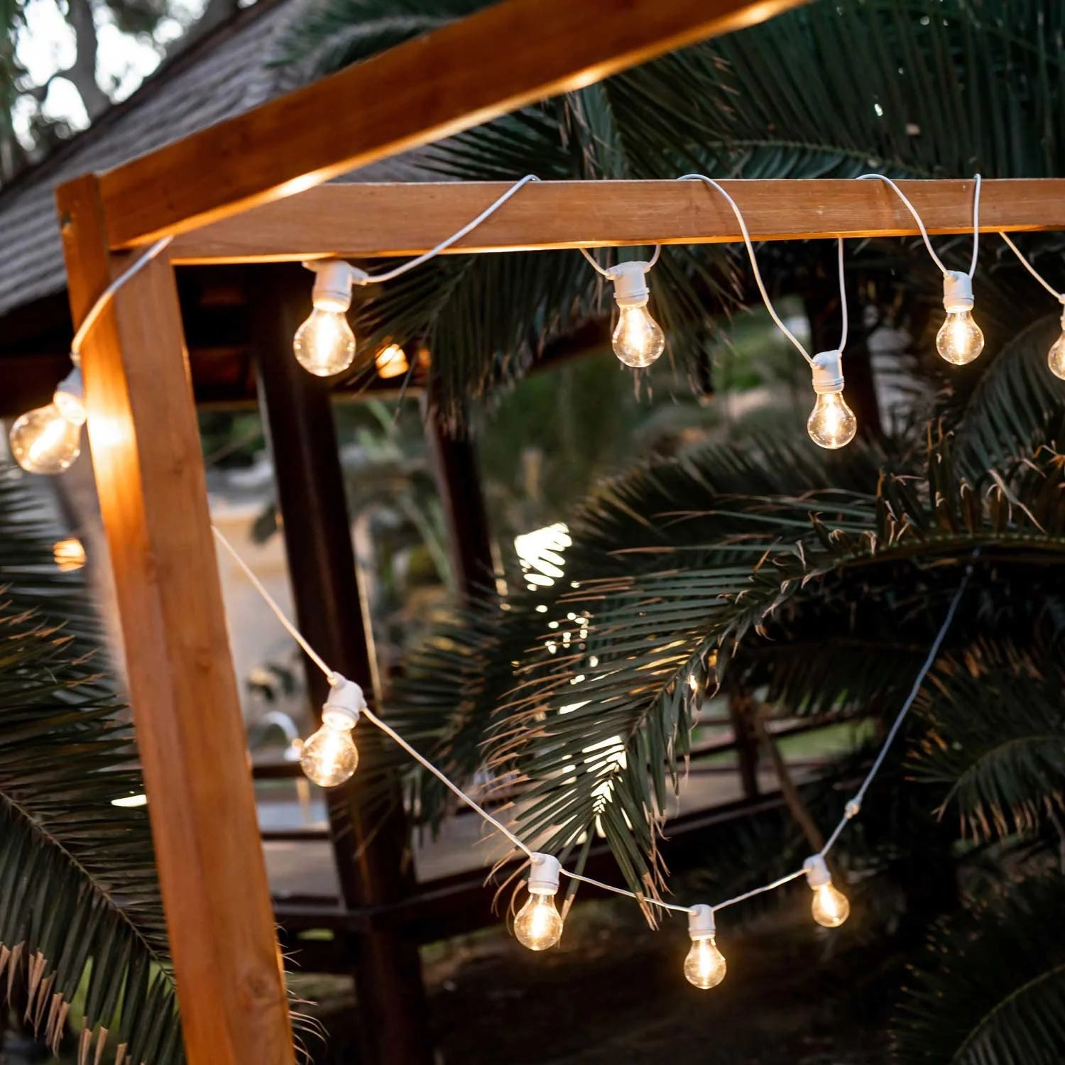 LÚZETE - GUIRNALDA CAVO BIANCO ALLEGRA