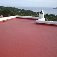 Guaina liquida impermeabilizzazione protezione riparazione balcone tetto rossa *** formato 18 kg, confezione 1