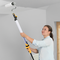 Fissativo bonificante sanificante biofix barriera protettiva antimuffa antialga *** formato 1 lt, confezione 1