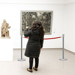 Set di 4 paletti di delimitazione delle code in acciaio inox, Transenna eliminacode con 2 corde rosse-Barriere e recinzioni