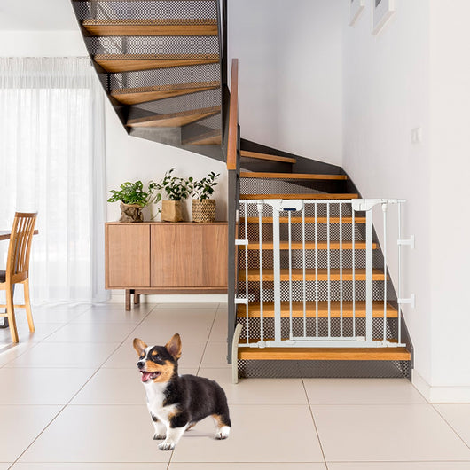 Recinto pieghevole 6 pezzi Cancelleto di sicurezza in ferro 380x75cm, Bianco-Cancelli