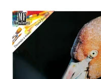 Stampa Su Tela Con Applicazioni -B- Flamingo Cm  120X3.8X80