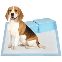 Set 80 Tappetini Igienici per Cani a 6 Strati in Tessuto non Tessuto, Carta e PE, 60x60 cm, Blu e Bianco