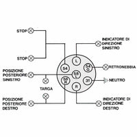 Spina di corrente 7 poli 12 volt per carrelli regolamentare