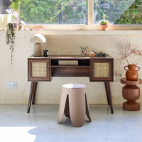 Scrivania in canna a 2 ante, marrone scuro naturale