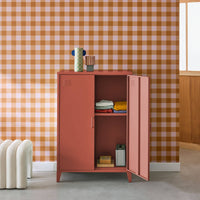 Cassettiera/armadio industriale metallo 2 ante, terracotta