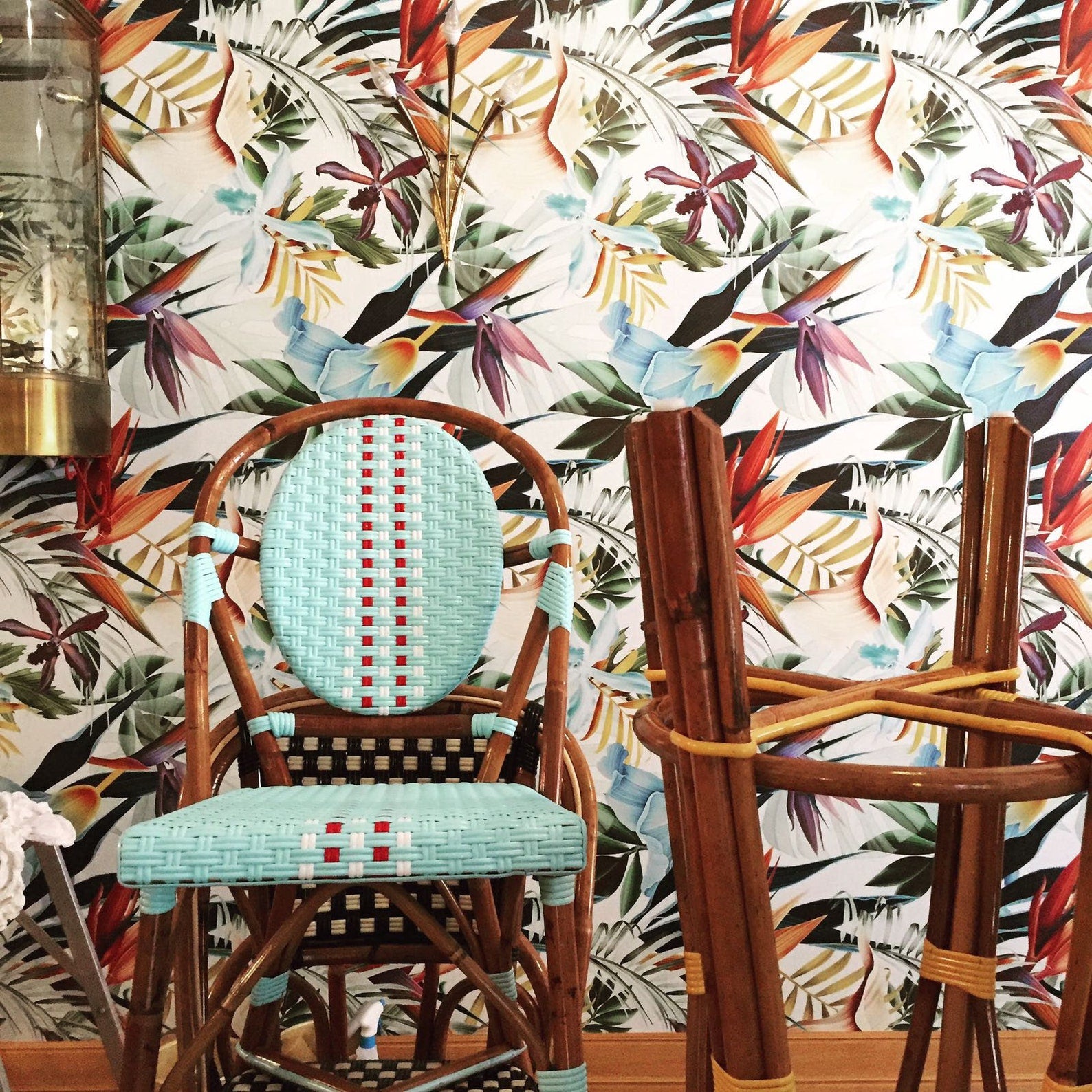 Carta da Parati Tropicale Blu Carta Vegana 250x200cm 5,5mq 