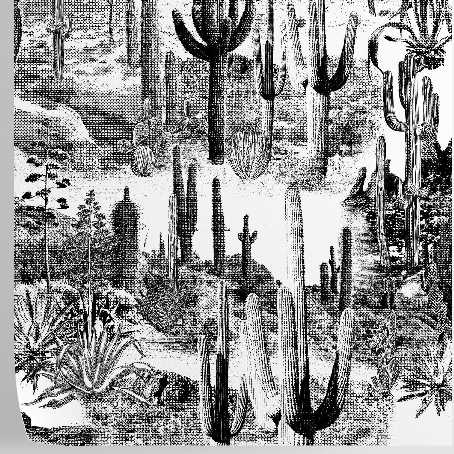 Carta da Parati Cactus Carta Vegana 250x200cm 5,5mq 