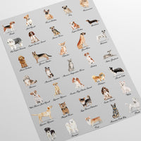 Carta da Parati Cani Sfondo Grigio Carta Vegana 250x200cm 5,5mq 