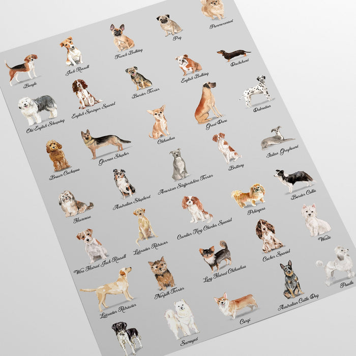 Carta da Parati Cani Sfondo Grigio Carta Vegana 250x200cm 5,5mq 