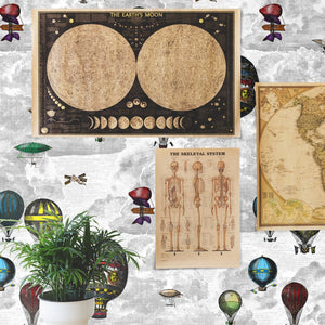 Carta da Parati Mongolfiere Carta Vegana 250x200cm 5,5mq 