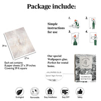 Carta da Parati Stucco Veneziano Beige e Tortora Carta Vegana 250x200cm 5,5mq 