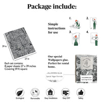 Carta da Parati Righe Nere Carta Vegana 250x200cm 5,5mq 