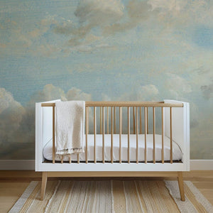 Carta da Parati Cielo Dipinto 360x260cm 9 mq