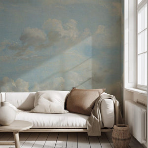 Carta da Parati Cielo Dipinto 360x260cm 9 mq