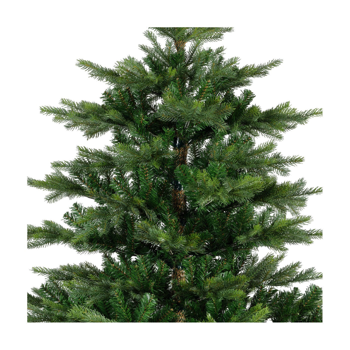 Albero Grandis Fir D162 H240cm verde