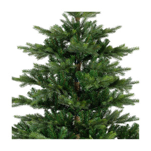 Albero Grandis Fir D162 H240cm verde