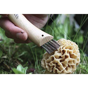 Coltello funghi con manico in legno