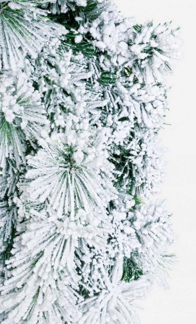 4x Corona Cermis Innevato D80