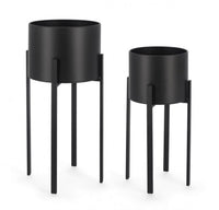 Set2 P.Fiore Ester To Nero