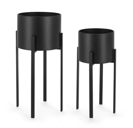 Set2 P.Fiore Ester To Nero