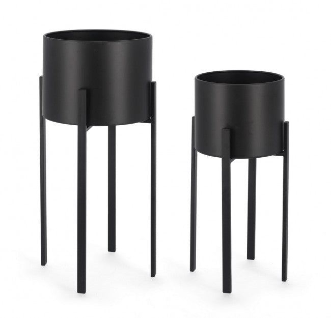 Set2 P.Fiore Ester To Nero