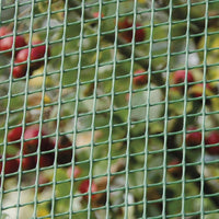 RETE QUADRA PIANA VERDE 1X5MT