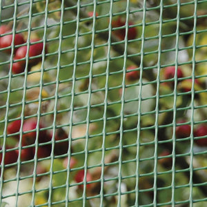 RETE QUADRA PIANA VERDE 1X5MT