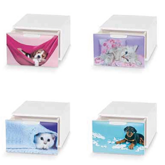 Qbox Cassetto ordinatore Domoliving L15,5xP20xH10,5cm
ATTENZIONE! Questo prodotto viene distribuito dal produttore in modelli e/o colori assortiti in modo del tutto casuale. Non ci è possibile proporre un modello e/o un colore in particolare. Confermando l' ordine, riceverete uno dei modelli indicati sull' immagine in funzione dello stock disponibile.